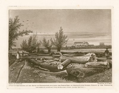 Grounds on the South of Westminster, Including the Timber Yard on Millbank by English School
