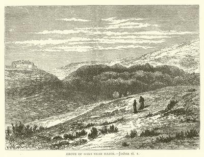 Grove of Oaks near Hazor, Joshua, xi by English School