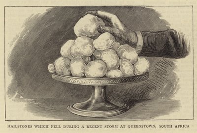 Hailstones which fell during a Recent Storm at Queenstown, South Africa by English School