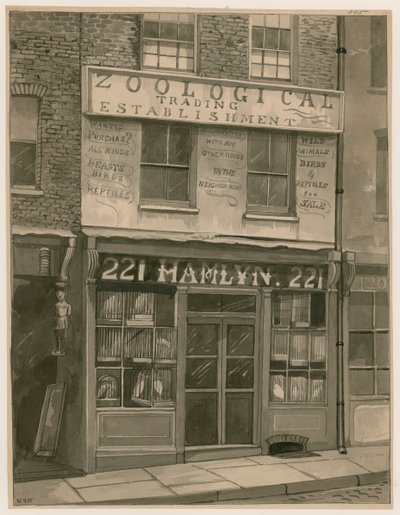 Hamlyn