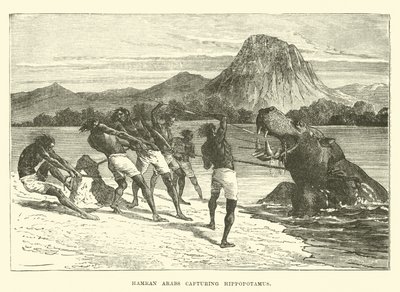 Hamran Arabs Capturing Hippopotamus by English School