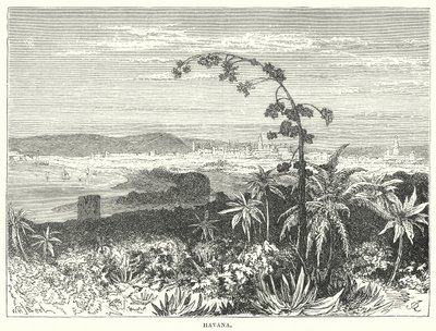 Havana by English School