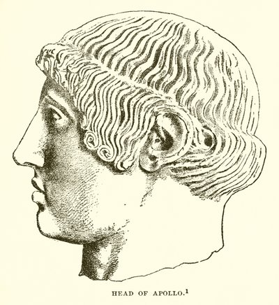 Head of Apollo by English School