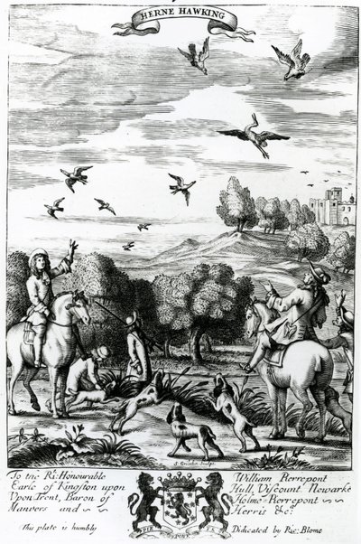 Herne Hawking, from 