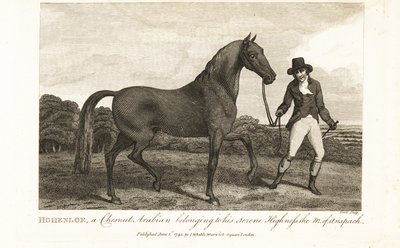 Hohenloe, a chestnut Arabian belonging to his Serene Highness the Margrave of Anspach by English School