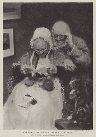 Homeward Bound by English School