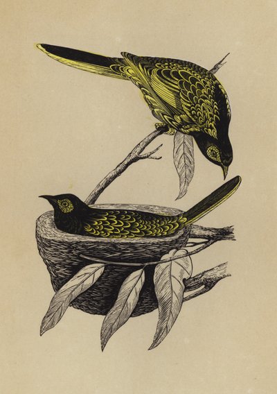 Honey-Eater by English School