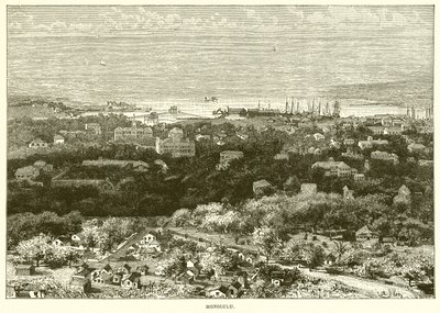 Honolulu by English School