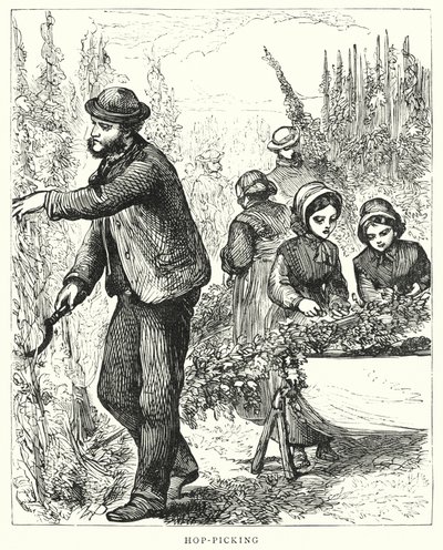 Hop-Picking by English School