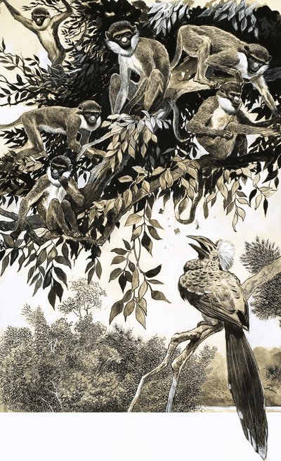 Hornbill and monkeys by English School