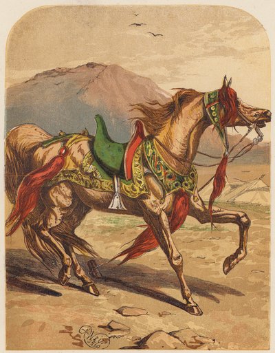 Horse by English School