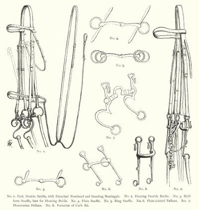 Horse bridles by English School
