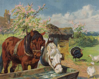 Horses Drinking from a Water Trough by English School