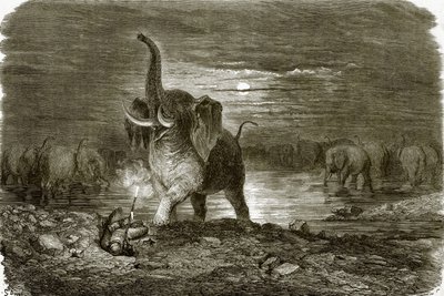 Hunter and Elephant by English School