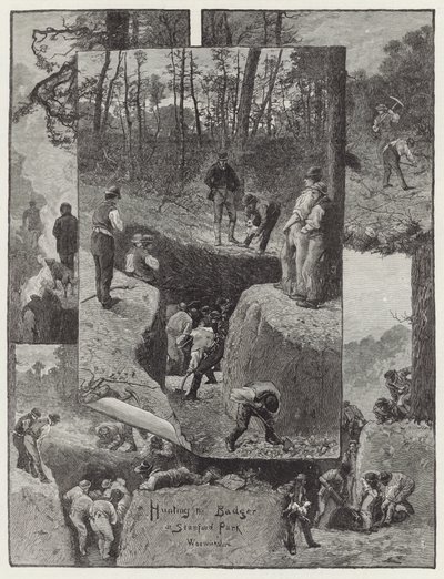 Hunting the Badger at Stanford Park by English School