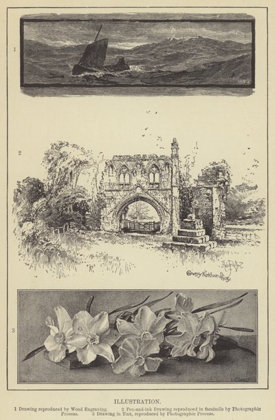 Illustration by English School