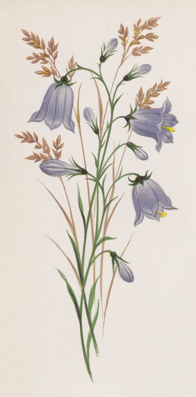 Illustration for A Dream of a Garden by English School