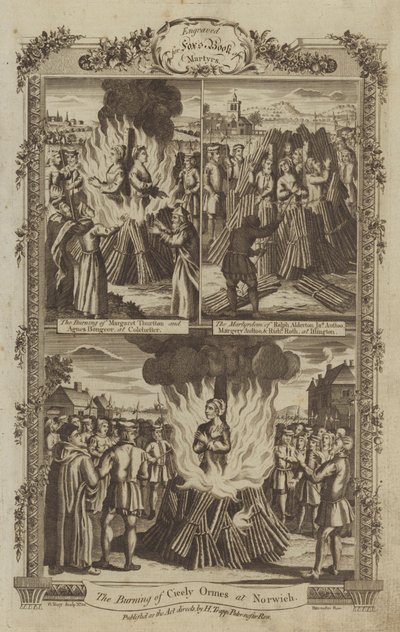 Illustration for Fox