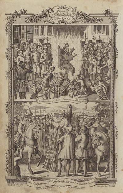 Illustration for Fox