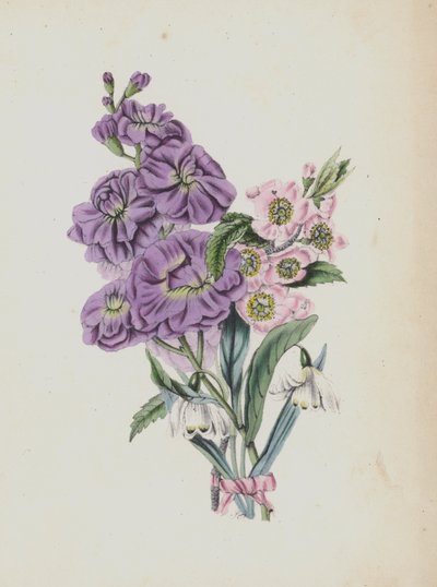 Illustration for Moss Rose Album by English School