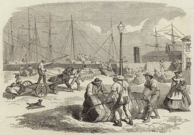 Illustrations of the War in America by English School