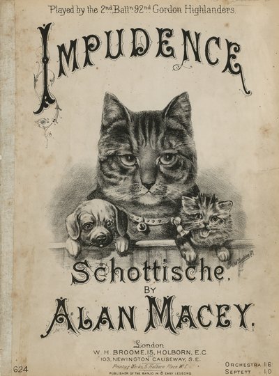 Impudence by English School