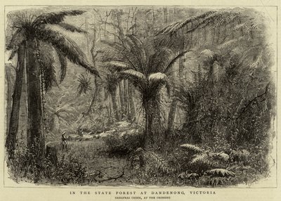 In the State Forest at Dandenong, Victoria by English School