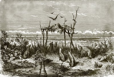 Indian Sepulchre in the Long Grass Prairie, on the Saskatchewan River by English School