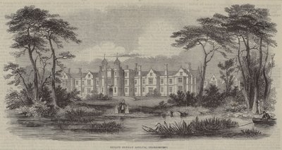 Infant Orphan Asylum, Snaresbrook by English School