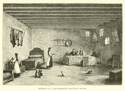 Interior of a Montenegrin Senator