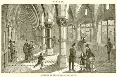 Interior of the Brighton Aquarium by English School