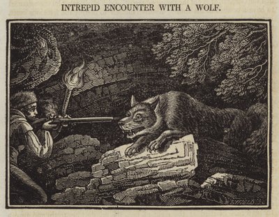 Intrepid Encounter with a Wolf by English School