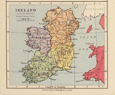 Ireland, Tudor Period by English School