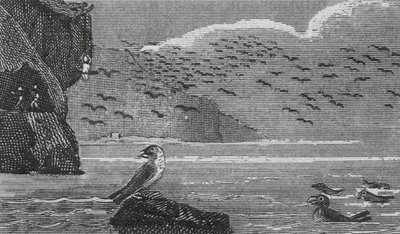 Isle of Man by English School