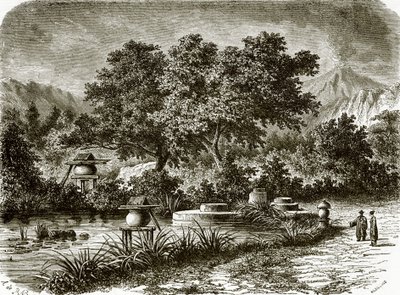 Japanese tea gardens by English School