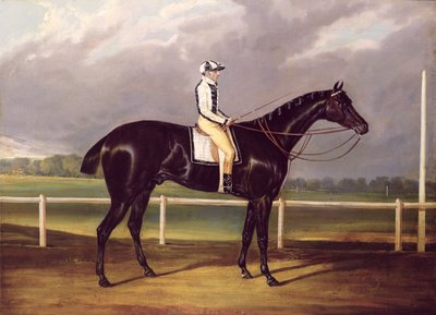 Jerry, Winner of the St. Leger in 1824 by English School