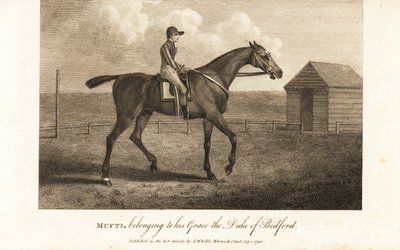 Jockey on the celebrated thoroughbred racer Mufti, belonging to his Grace the Duke of Bedford by English School
