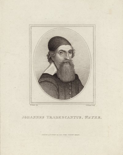 Johannes Tradescantus Pater by English School