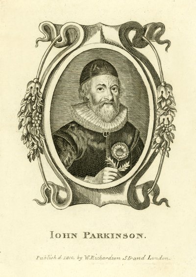 John Parkinson by English School
