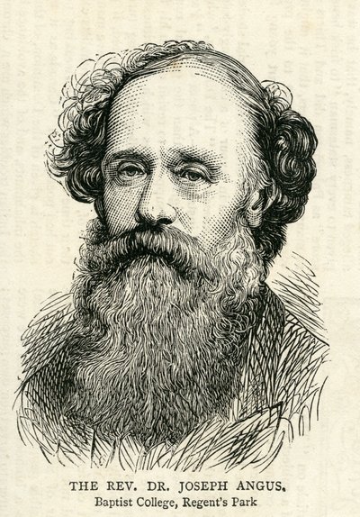 Joseph Angus illustration from The Graphic 10th July, 1875 by English School