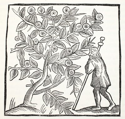 Joseph of Arimathea and the Glastonbury Thorn, illustration from Chap-books of the Eighteenth Century by John Ashton, pub. 1882 by English School