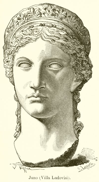 Juno by English School