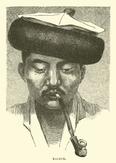 Kalmuk by English School