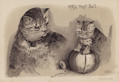 Kitty