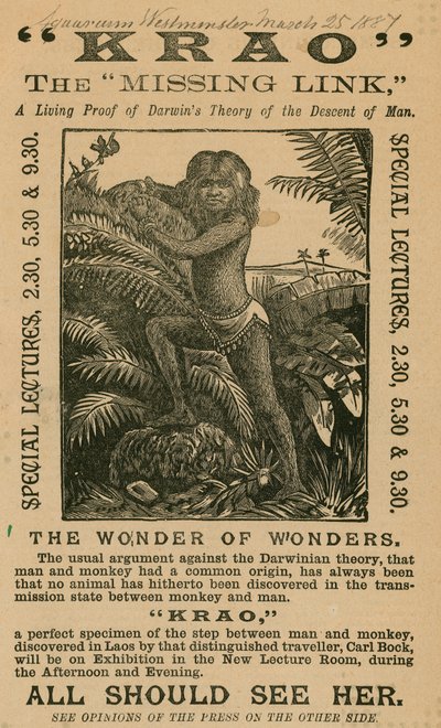 Krao, The Missing Link, exhibited at the Aquarium, Westminster, London, in 1887 by English School