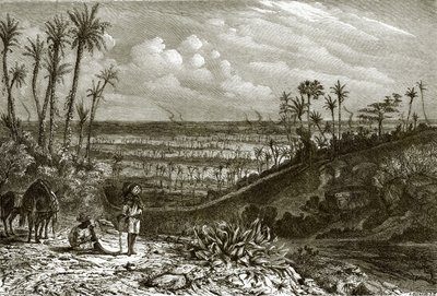 Landscape in the Island of Cuba by English School