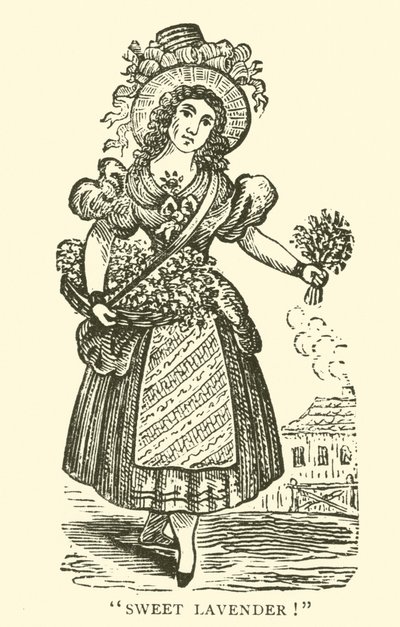 Lavender Seller by English School