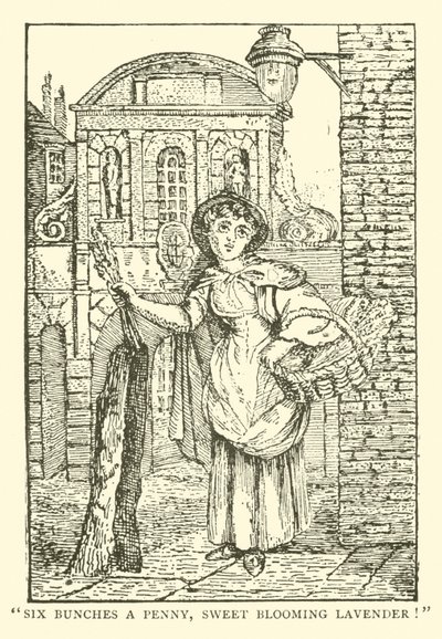 Lavender Seller by English School