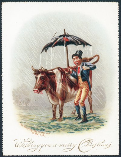 Leading Cow through the rain by English School