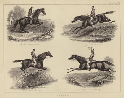 Leaping by English School